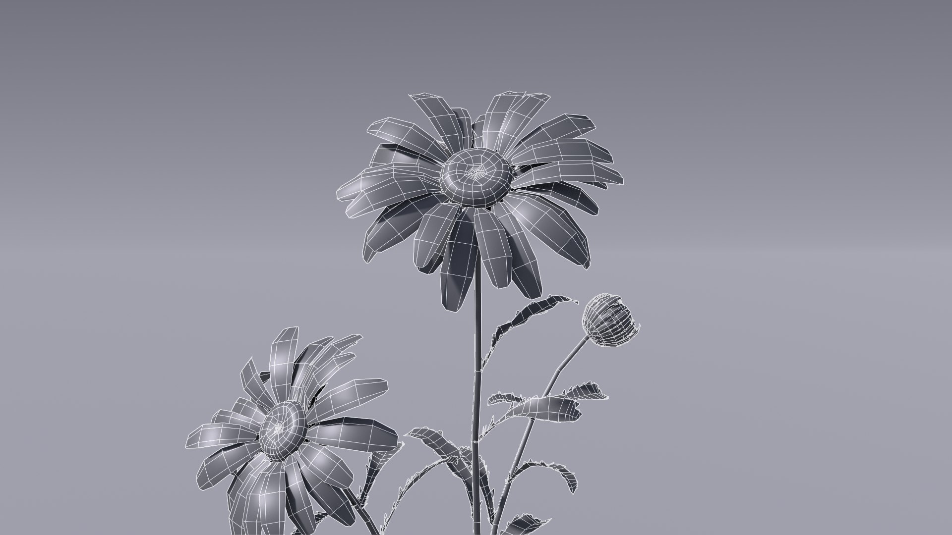 realistic daisies flowering 3D https://p.turbosquid.com/ts-thumb/o8/nlq5d4/BRWqR7Wc/3dflowercollectionvol06daisy_12/png/1591600420/1920x1080/fit_q87/647a2456f11958371ea6c4dfb05ce4cb4df5773e/3dflowercollectionvol06daisy_12.jpg