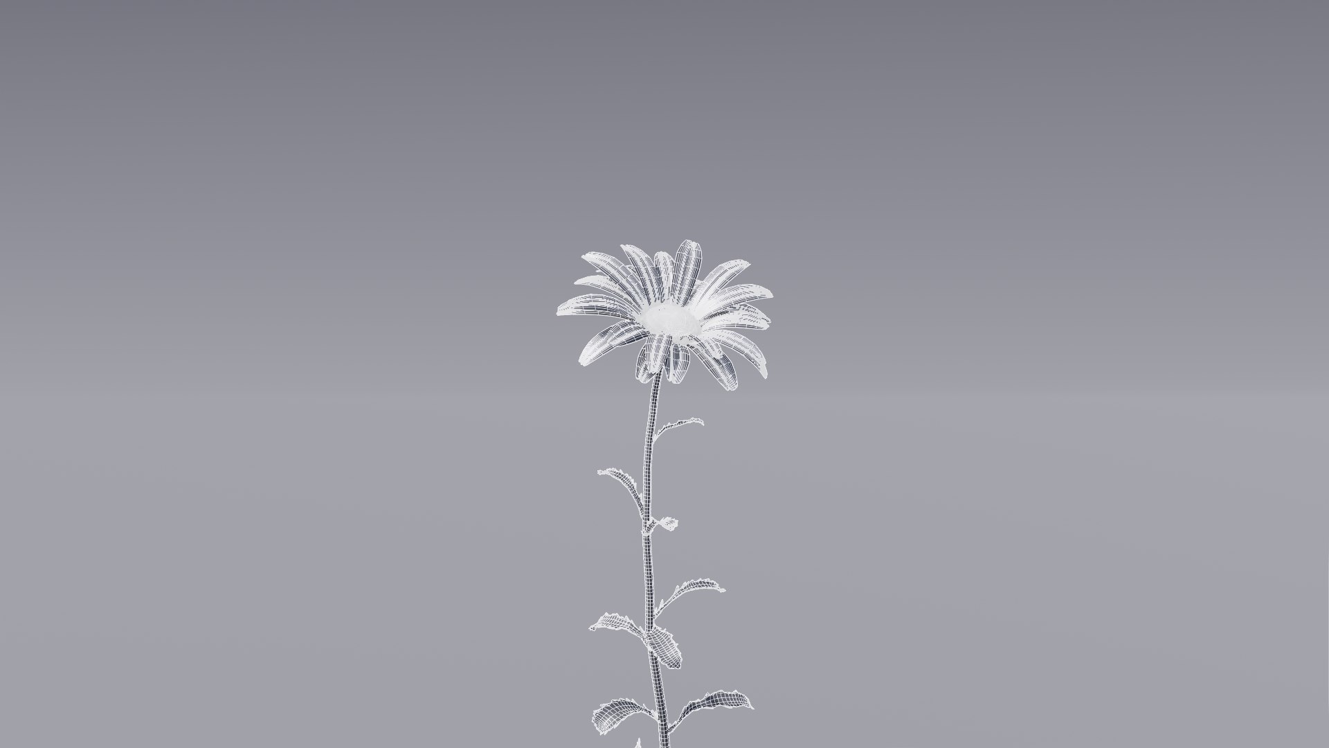realistic daisies flowering 3D https://p.turbosquid.com/ts-thumb/o8/nlq5d4/KIGP7exl/3dflowercollectionvol06daisy_18/png/1591600661/1920x1080/fit_q87/5913109b0eddc4a0b51e645386e77f6f9faea39b/3dflowercollectionvol06daisy_18.jpg