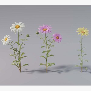 Flower collection vol06 Daisy