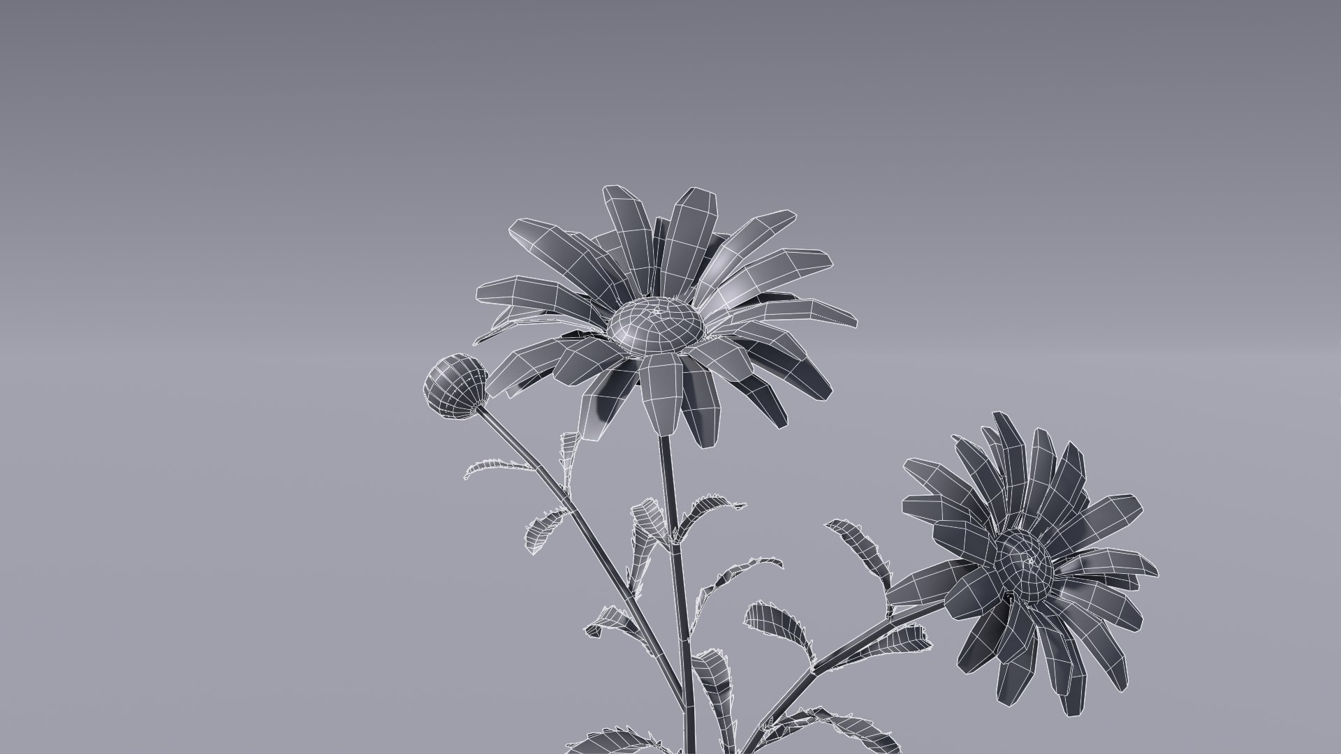 realistic daisies flowering 3D https://p.turbosquid.com/ts-thumb/o8/nlq5d4/fzGEquOI/3dflowercollectionvol06daisy_11/png/1591600372/1920x1080/fit_q87/6491cf17409958cbd55c85ee2d4727b0a1b36e69/3dflowercollectionvol06daisy_11.jpg