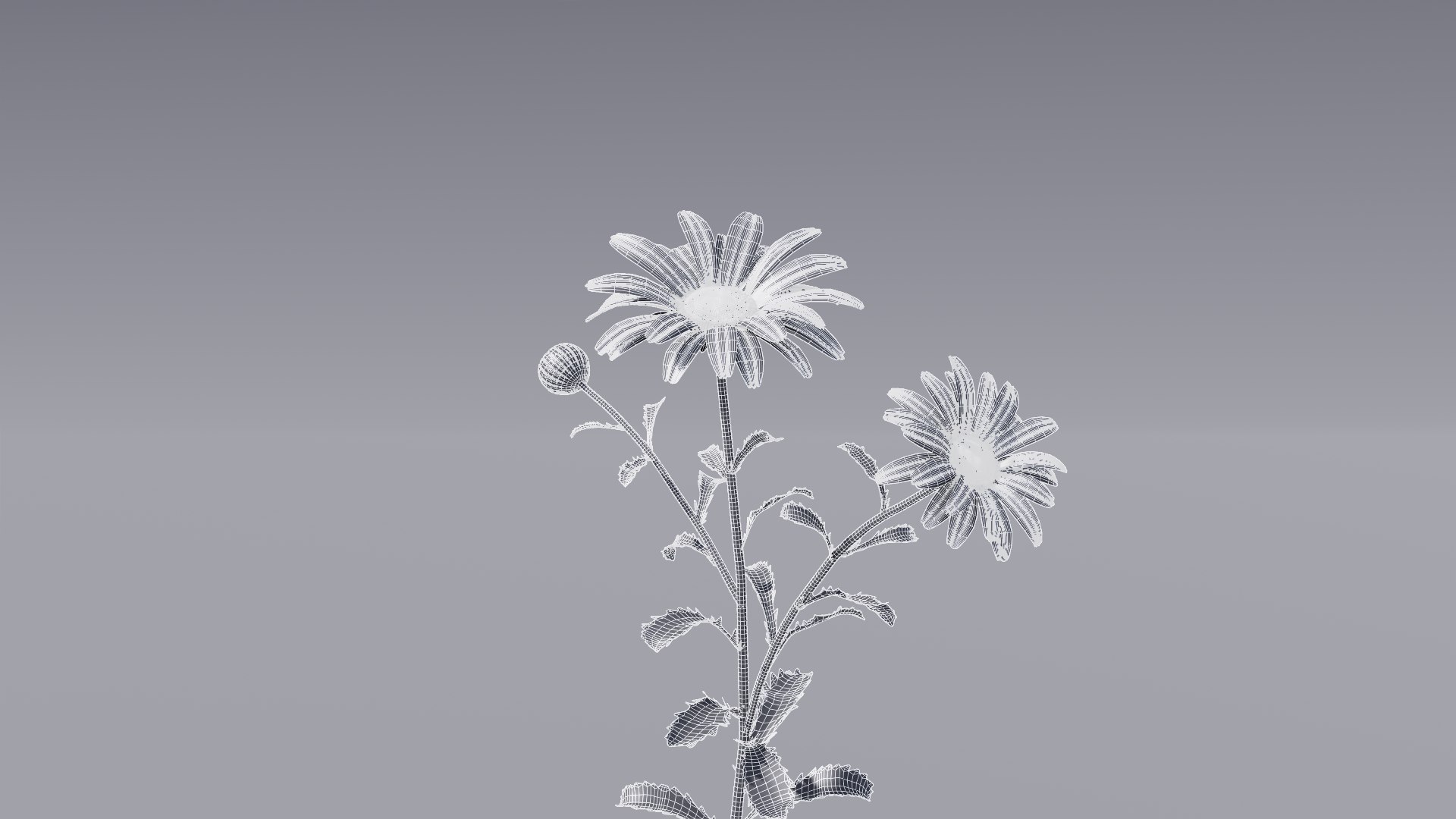 realistic daisies flowering 3D https://p.turbosquid.com/ts-thumb/o8/nlq5d4/ijKDT5oK/3dflowercollectionvol06daisy_15/png/1591600545/1920x1080/fit_q87/9bd18d6e4c49ee39726acf021ee05213fe003047/3dflowercollectionvol06daisy_15.jpg