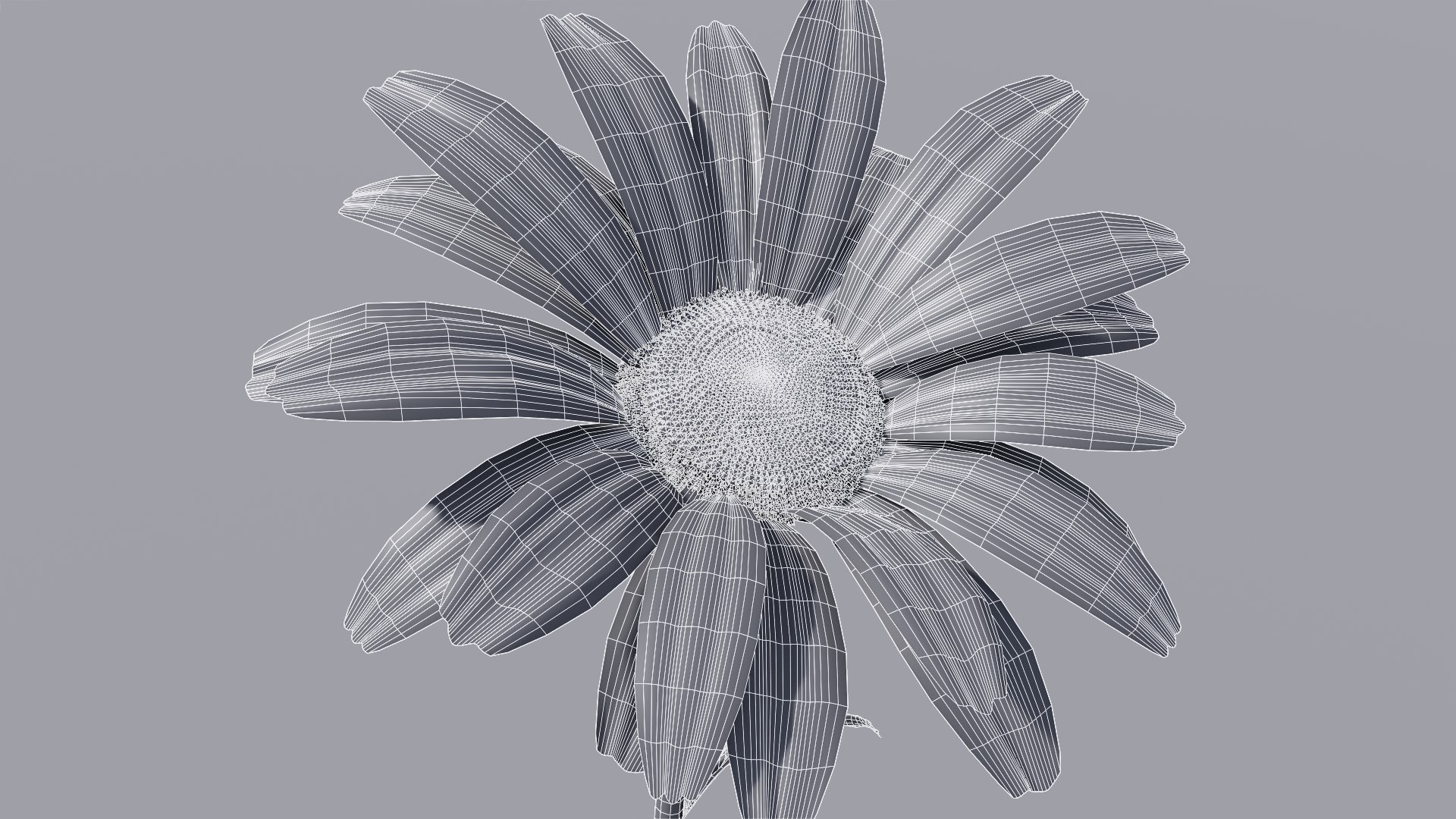 realistic daisies flowering 3D https://p.turbosquid.com/ts-thumb/o8/nlq5d4/qXEFoKa8/3dflowercollectionvol06daisy_19/png/1591600797/1920x1080/fit_q87/1f95d04de705627ab7ec96fea6609da61bdd0449/3dflowercollectionvol06daisy_19.jpg