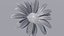 Collection de fleurs vol06 Marguerite