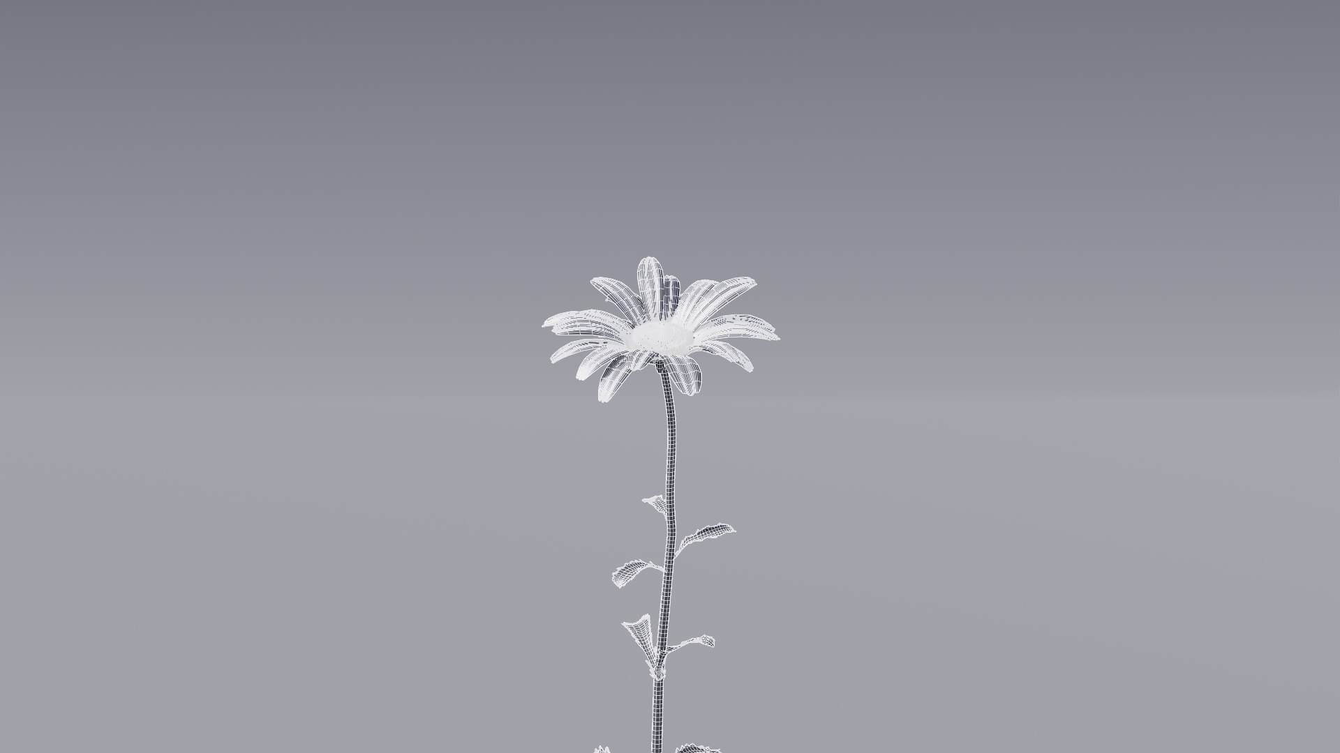 realistic daisies flowering 3D https://p.turbosquid.com/ts-thumb/o8/nlq5d4/qx11uCte/3dflowercollectionvol06daisy_17/png/1591600626/1920x1080/fit_q87/7fcddbbcf3ce40260f77eb45145f8ed3ee3289e8/3dflowercollectionvol06daisy_17.jpg