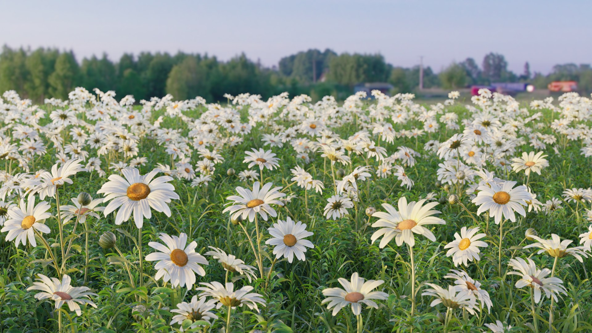 realistic daisies flowering 3D https://p.turbosquid.com/ts-thumb/o8/nlq5d4/tBO3GcEy/3dflowercollectionvol06daisy_01/png/1591600046/1920x1080/fit_q87/364fed42415d6621e67a4c252fc086b5e42f20ed/3dflowercollectionvol06daisy_01.jpg