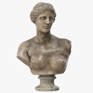 Venus de Milo Bust Colored