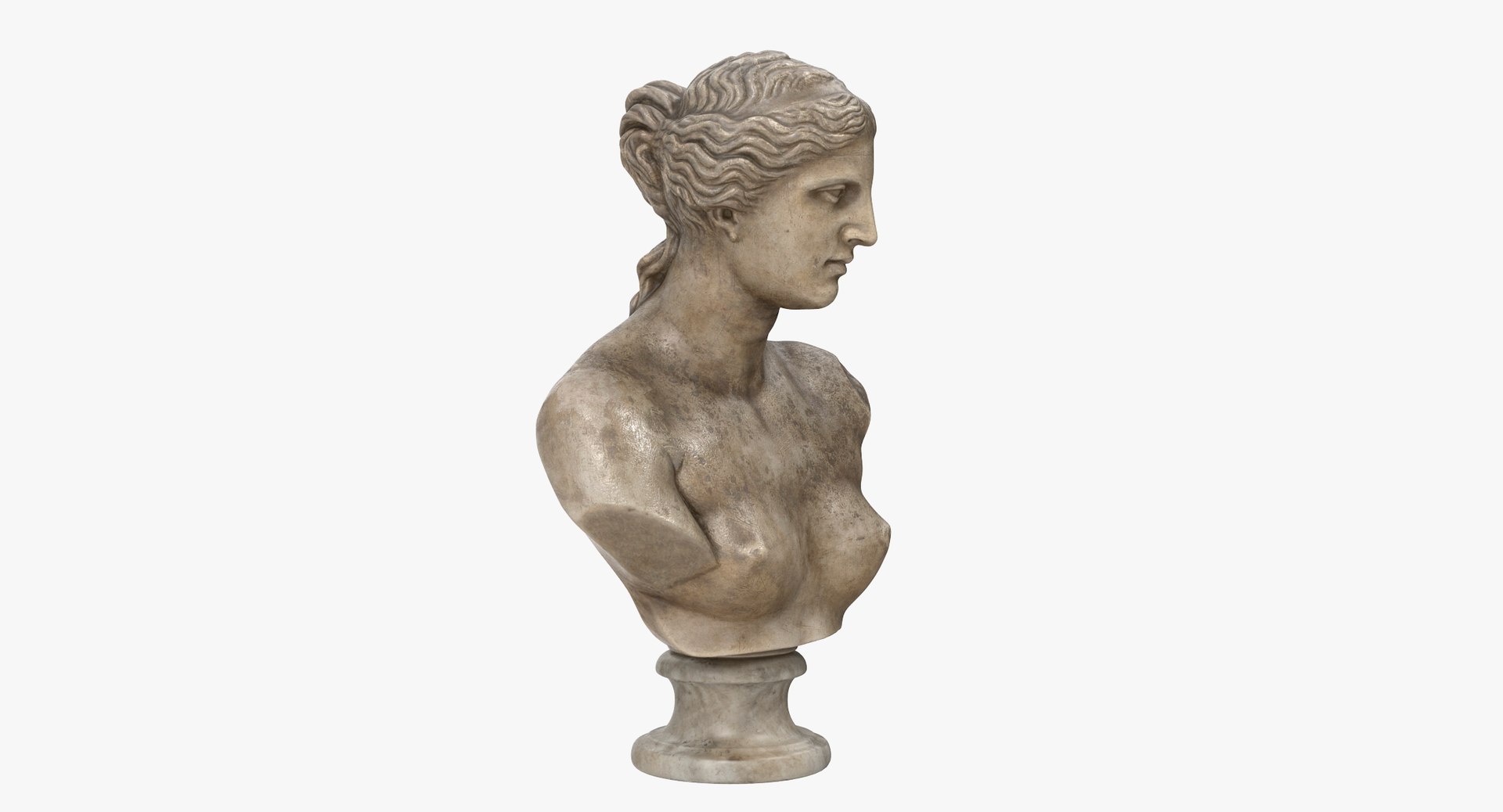 venus milo bust 3D model https://p.turbosquid.com/ts-thumb/o8/sIcDpF/ZU/bust_milo_color0006/jpg/1613170453/1920x1080/fit_q87/77187be4f1e4874cadc97d8f45b35c2fada99807/bust_milo_color0006.jpg