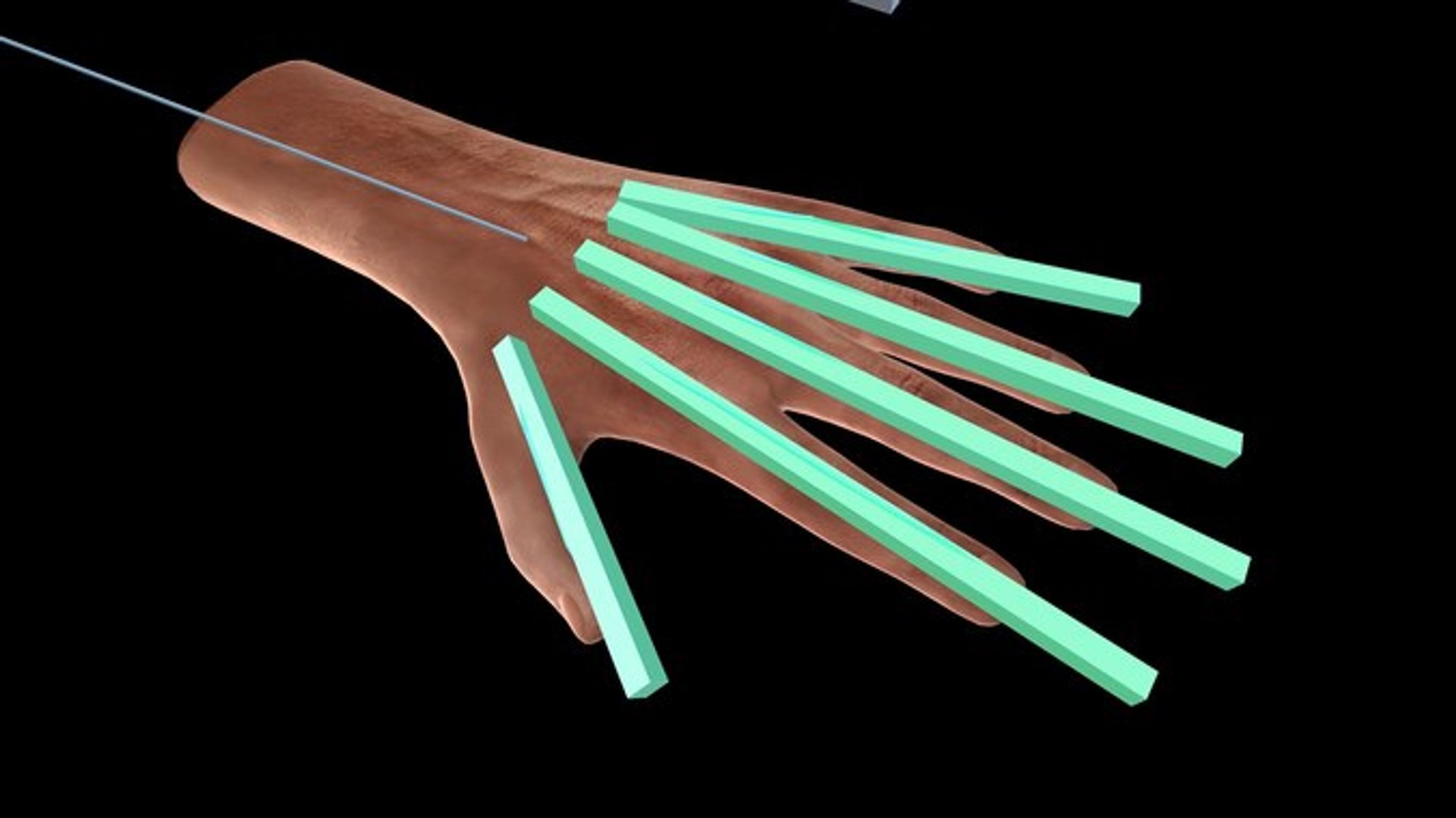 3D hands rigged https://p.turbosquid.com/ts-thumb/o9/AhfbUL/8a9OQ6Uh/l/jpg/1551526667/1920x1080/fit_q87/3a57ecfa8114b996e52681853ec4d350958798d1/l.jpg
