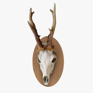 3D scan deer skull model