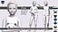 Free Rigged 3D Girl Character  Game  Animation Ready