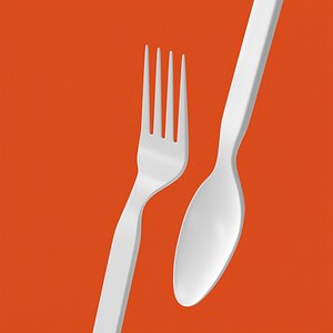 Plastic fork + spoon