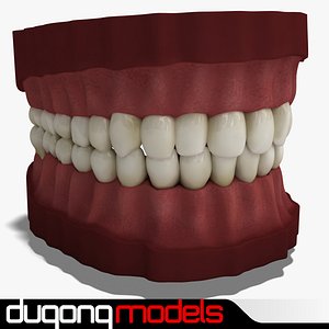 Teeth
