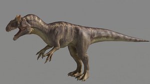 3D rigged studio license allosaurus