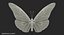 3D model danaus plexippus butterfly
