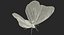 3D model danaus plexippus butterfly