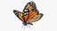 3D model danaus plexippus butterfly