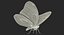 3D model danaus plexippus butterfly