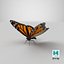 3D model danaus plexippus butterfly
