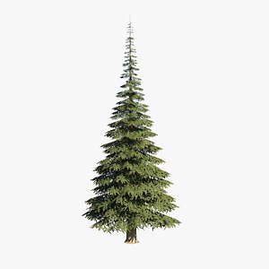 Spruce v1 lowpoly 3D model