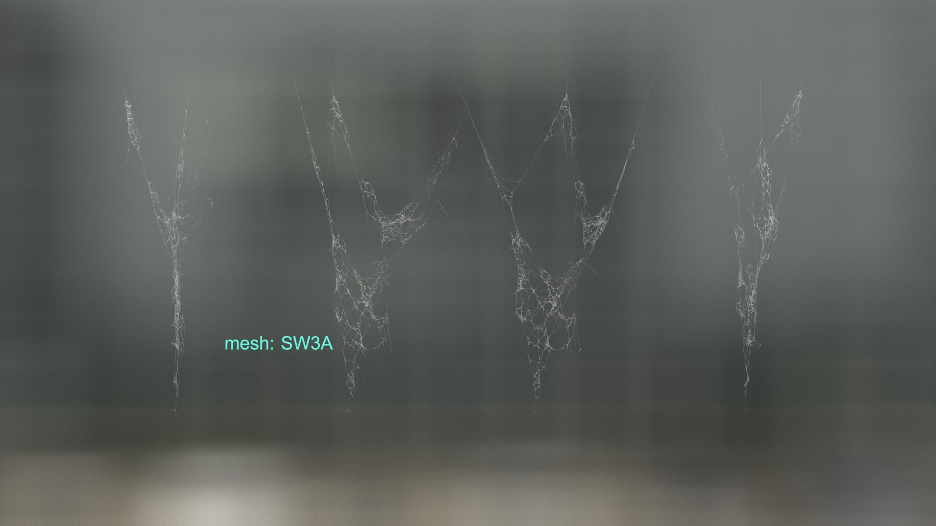 3D spider web spiderweb - TurboSquid 1703115