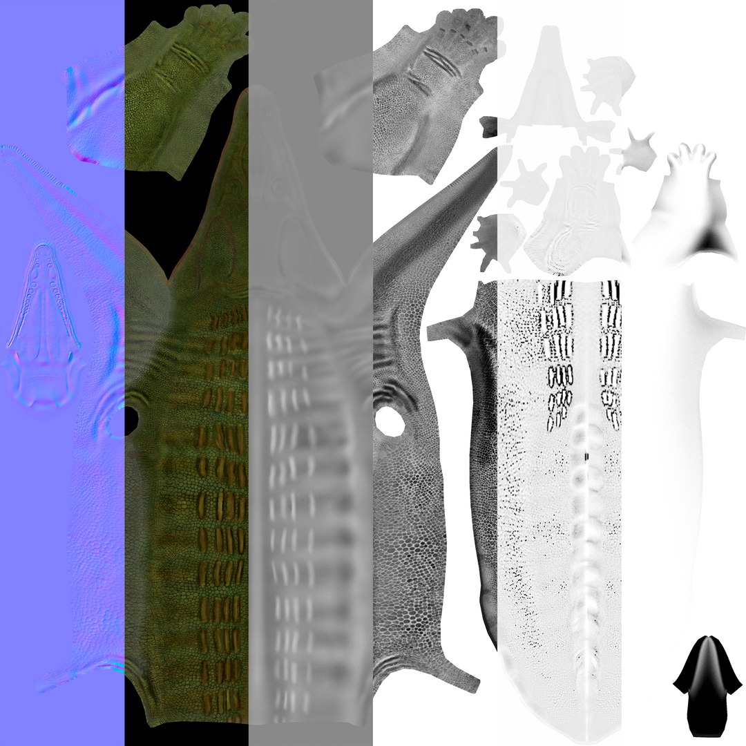 extinct animals version 8 3D https://p.turbosquid.com/ts-thumb/oA/UTm7l6/1uLuH63Z/112/jpg/1585737014/1920x1080/fit_q87/570d2d062077520a59718912bf76f218a69f5204/112.jpg