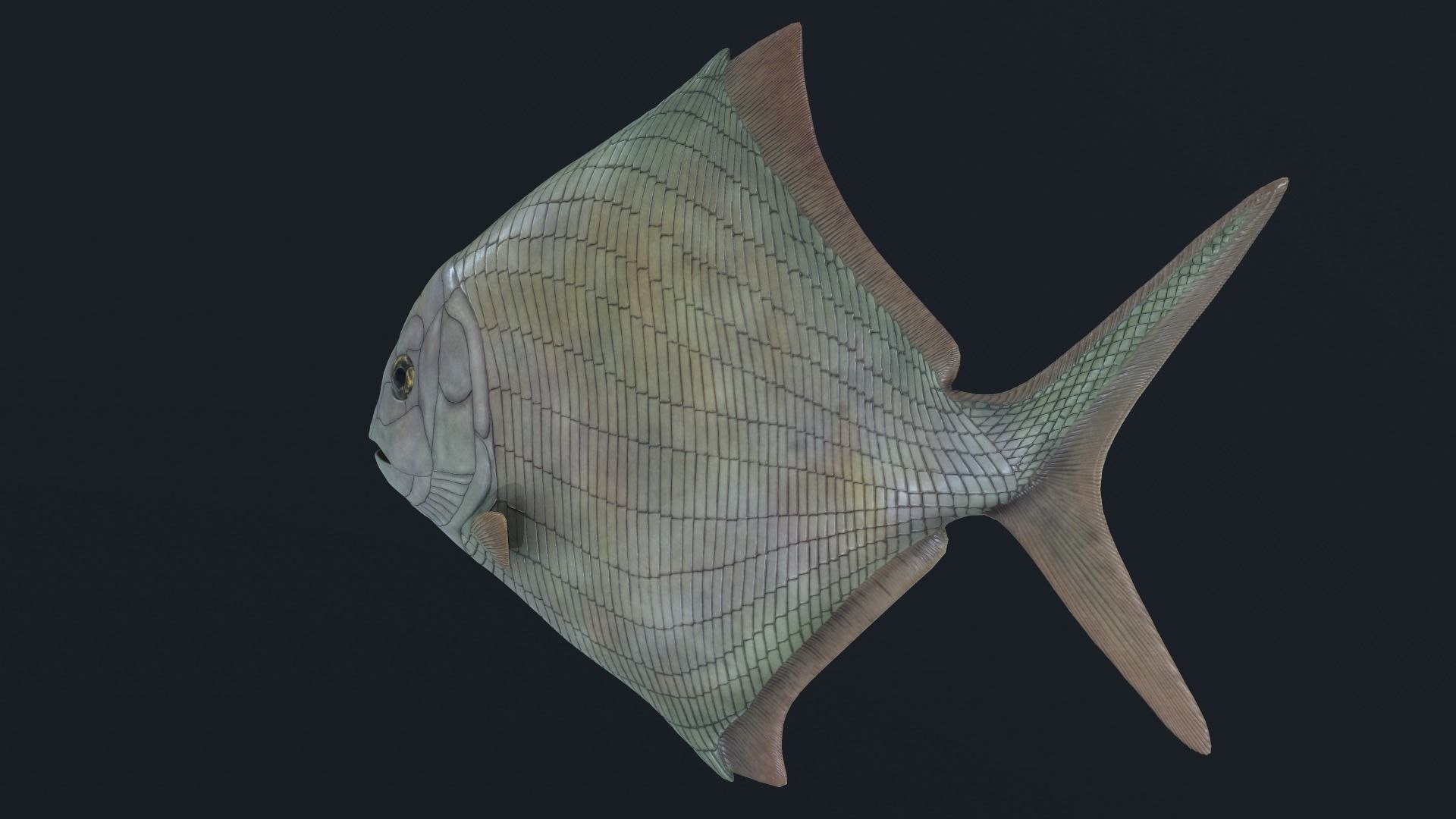extinct animals version 8 3D https://p.turbosquid.com/ts-thumb/oA/UTm7l6/7OGBoFpm/48/jpg/1585736064/1920x1080/fit_q87/4ef008276d412e819b62ffd9847680dd037c344c/48.jpg