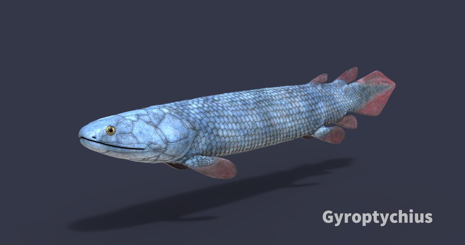 extinct animals version 8 3D https://p.turbosquid.com/ts-thumb/oA/UTm7l6/8WNQEhhg/29/jpg/1585735823/1920x1080/fit_q87/3f0e3043a656cb071609bdc4d7b90b1d3aeef0fb/29.jpg