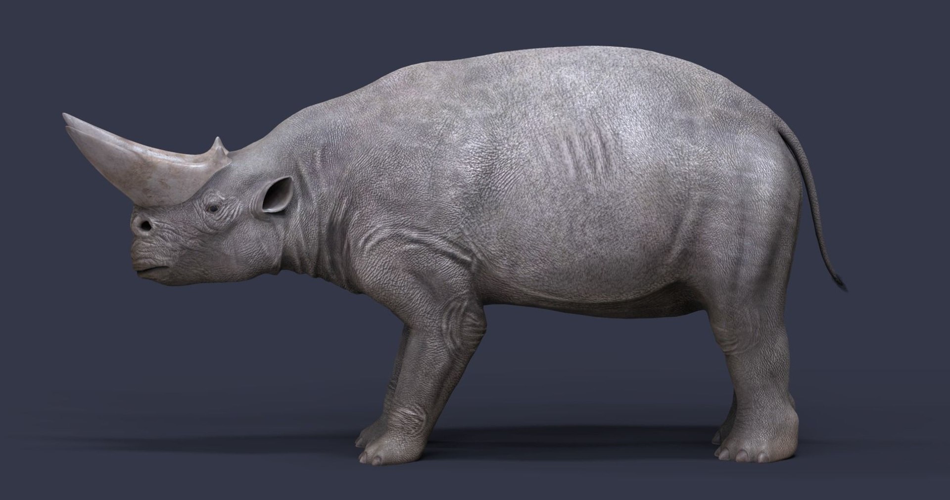 extinct animals version 8 3D https://p.turbosquid.com/ts-thumb/oA/UTm7l6/8igXdmrw/66/jpg/1585736265/1920x1080/fit_q87/3af54ecef9e5b6865d5436f59809cc497469982d/66.jpg