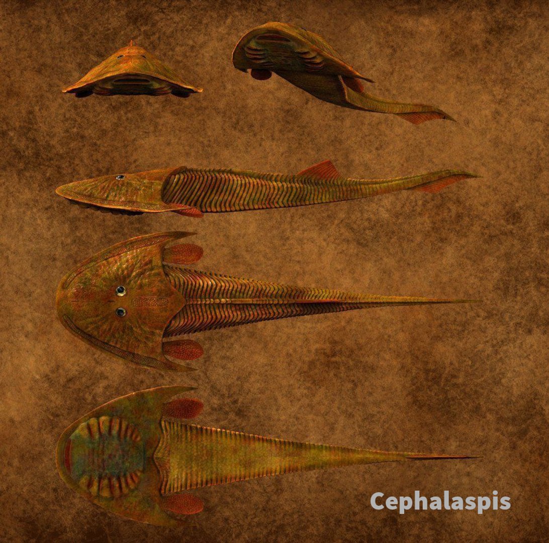 extinct animals version 8 3D https://p.turbosquid.com/ts-thumb/oA/UTm7l6/CNtQQmJ2/121/jpg/1585737139/1920x1080/fit_q87/05a9682aa95f96ffcc061d87d21c9922954c7090/121.jpg