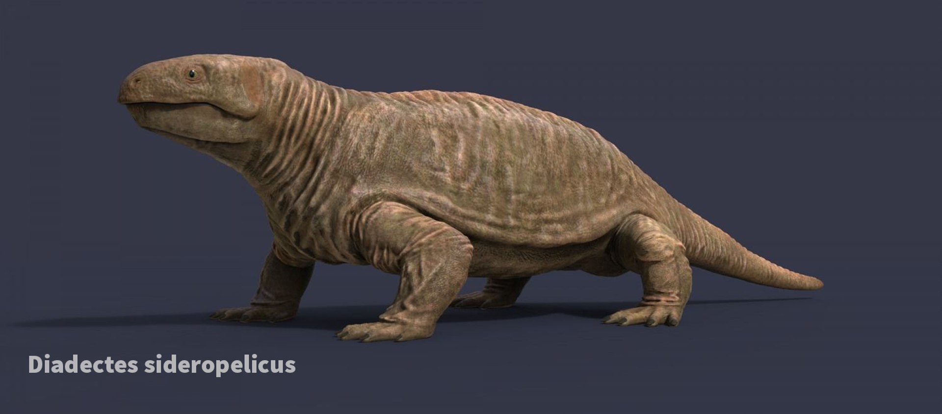 extinct animals version 8 3D https://p.turbosquid.com/ts-thumb/oA/UTm7l6/CnS22Y2g/86/jpg/1585736512/1920x1080/fit_q87/fa9adcc8ac8c0388ac83585c939b38620de1de2e/86.jpg