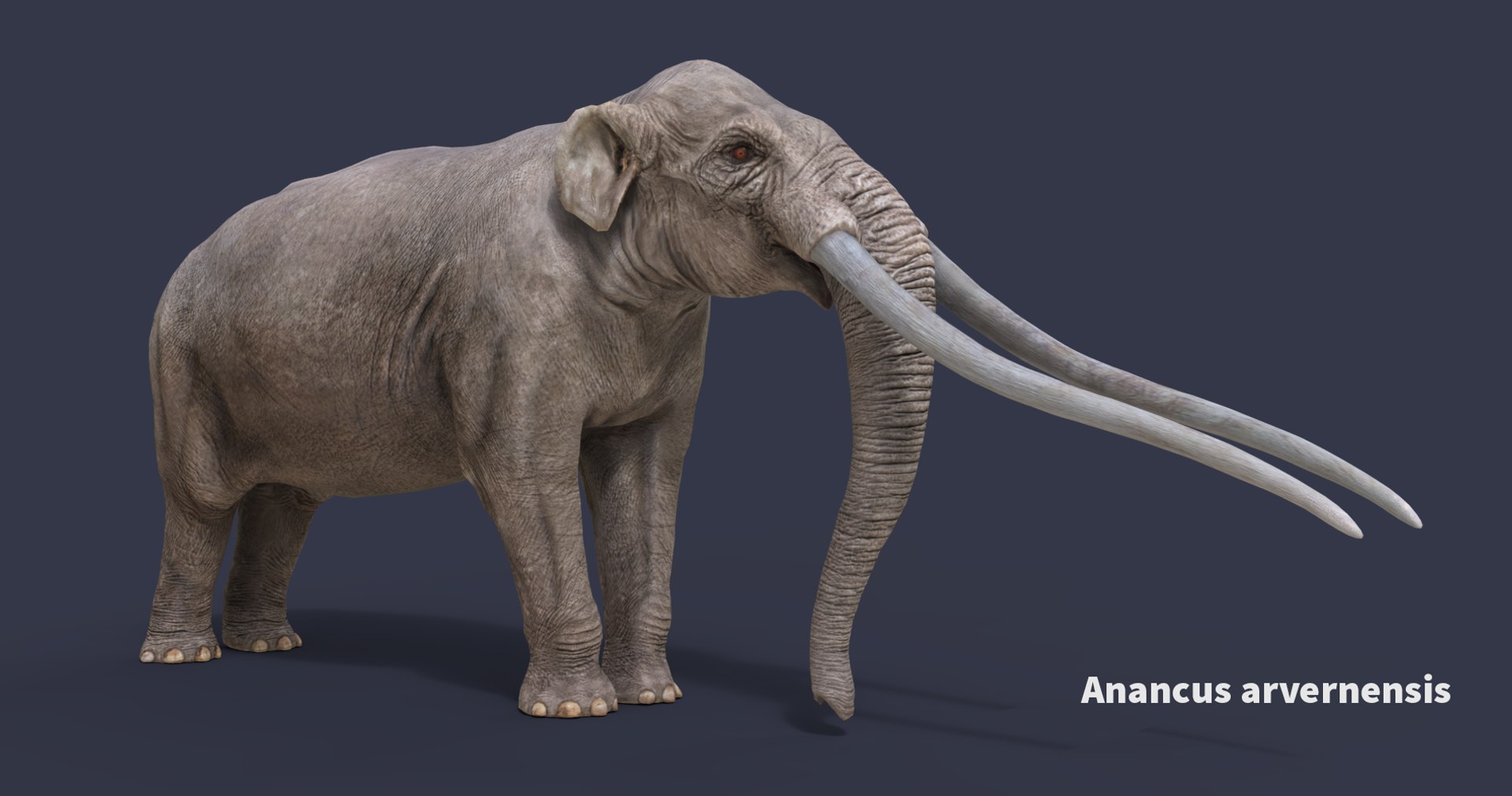 extinct animals version 8 3D https://p.turbosquid.com/ts-thumb/oA/UTm7l6/DDyaJHZs/1/png/1585734521/1920x1080/fit_q87/555add788ad23f89d47d36f9a025f8c84f7604f8/1.jpg