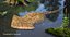Extinct animals pack version 8