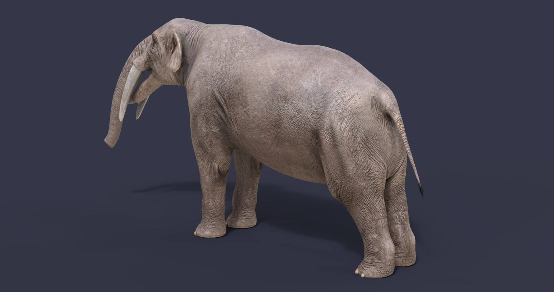 extinct animals version 8 3D https://p.turbosquid.com/ts-thumb/oA/UTm7l6/FGo0xRH1/19/jpg/1585734811/1920x1080/fit_q87/09efd6a61f037b5b8357cd94453025e3e8a7e755/19.jpg
