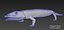Extinct animals pack version 8