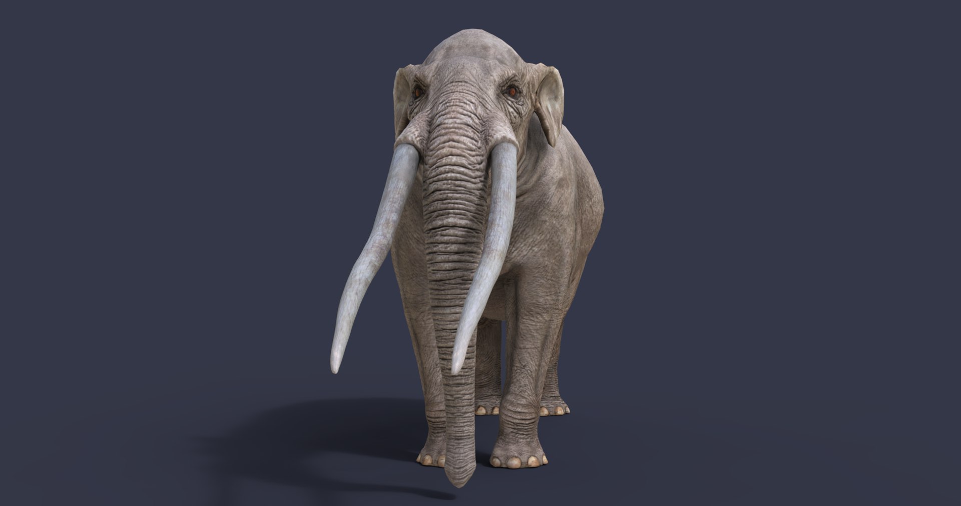 extinct animals version 8 3D https://p.turbosquid.com/ts-thumb/oA/UTm7l6/G4POAVti/4/png/1585734615/1920x1080/fit_q87/ed3a41ae079dd26a010d01c3b0a8fcc30576cb19/4.jpg