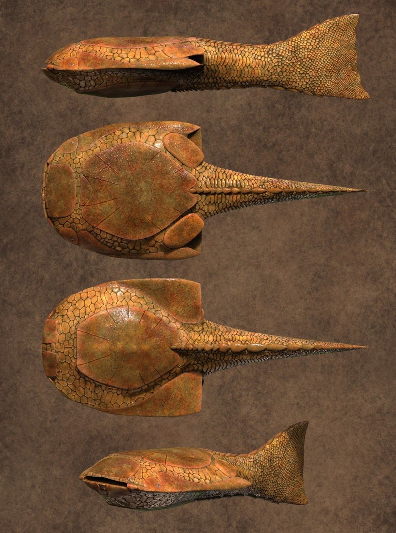 extinct animals version 8 3D https://p.turbosquid.com/ts-thumb/oA/UTm7l6/GCYmzPuC/44/jpg/1585736021/1920x1080/fit_q87/9aa388618294f6e14b36d366c8ee75b8e75b8a8e/44.jpg