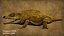 Extinct animals pack version 8