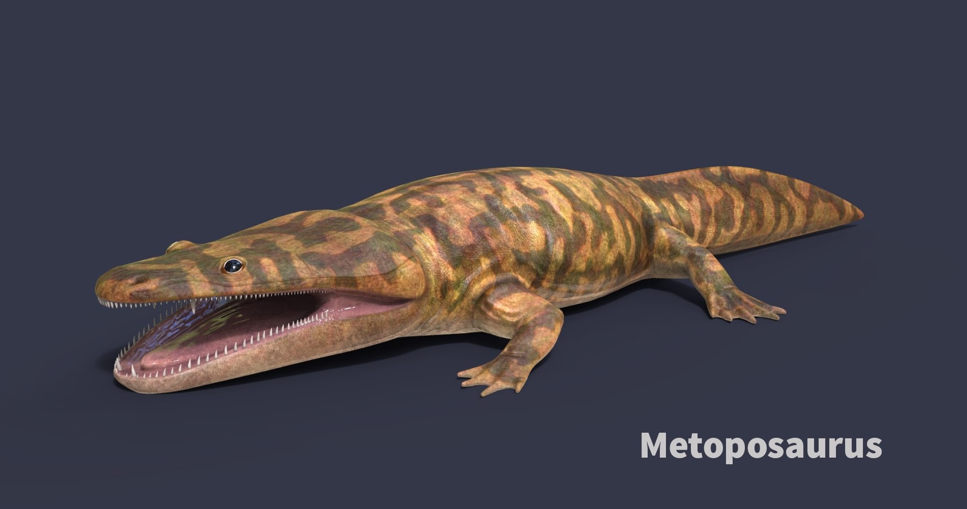 extinct animals version 8 3D https://p.turbosquid.com/ts-thumb/oA/UTm7l6/Gb4VJAxv/94/jpg/1585736599/1920x1080/fit_q87/3580fd3eef7869b0038aee2b820e3ab1b3bc36b6/94.jpg