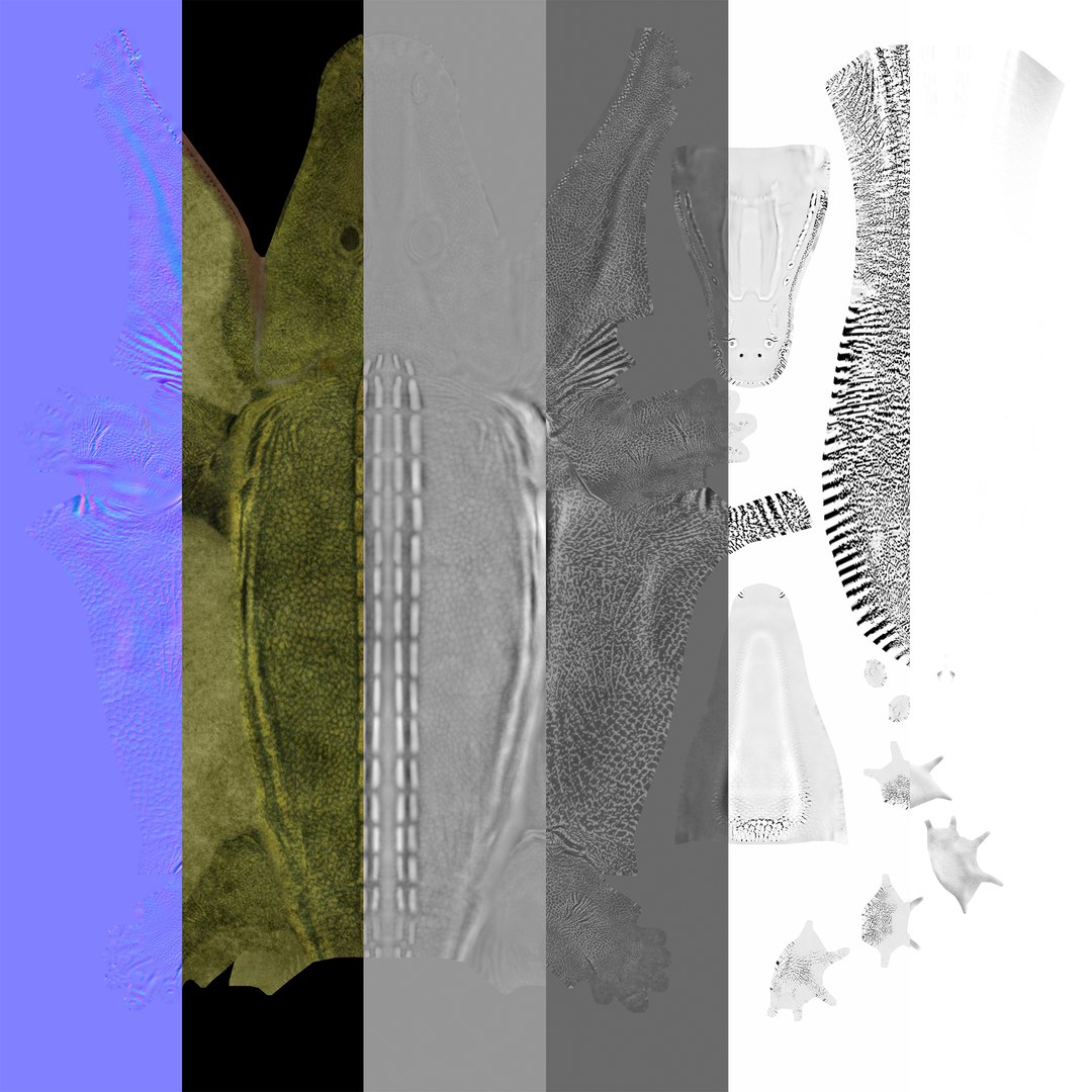 extinct animals version 8 3D https://p.turbosquid.com/ts-thumb/oA/UTm7l6/JgkdZziS/41/jpg/1585735987/1920x1080/fit_q87/da1a4531a9e2c786b44fdd64f0501c61d13df2ef/41.jpg