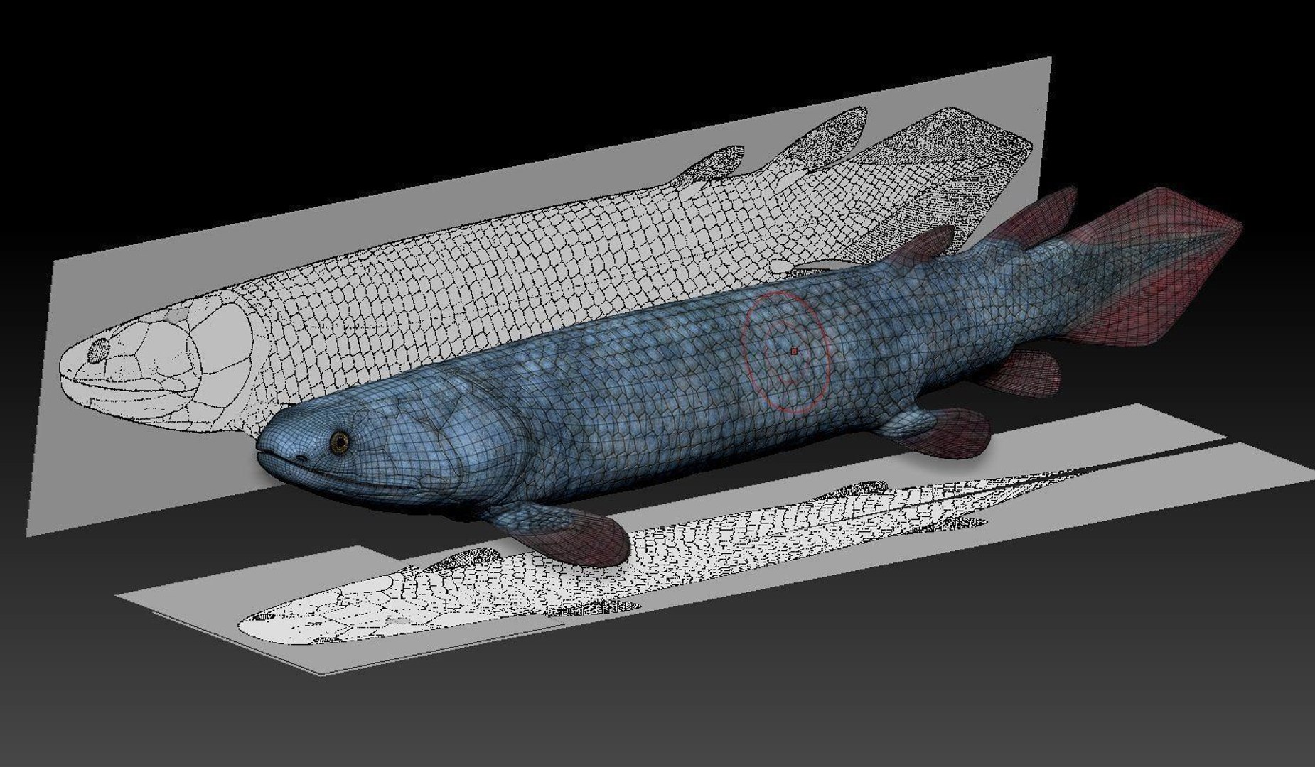 extinct animals version 8 3D https://p.turbosquid.com/ts-thumb/oA/UTm7l6/LLHFGlk1/31/jpg/1585735842/1920x1080/fit_q87/db026e1a29c84a23d74b8aab80871d8d2574f48a/31.jpg
