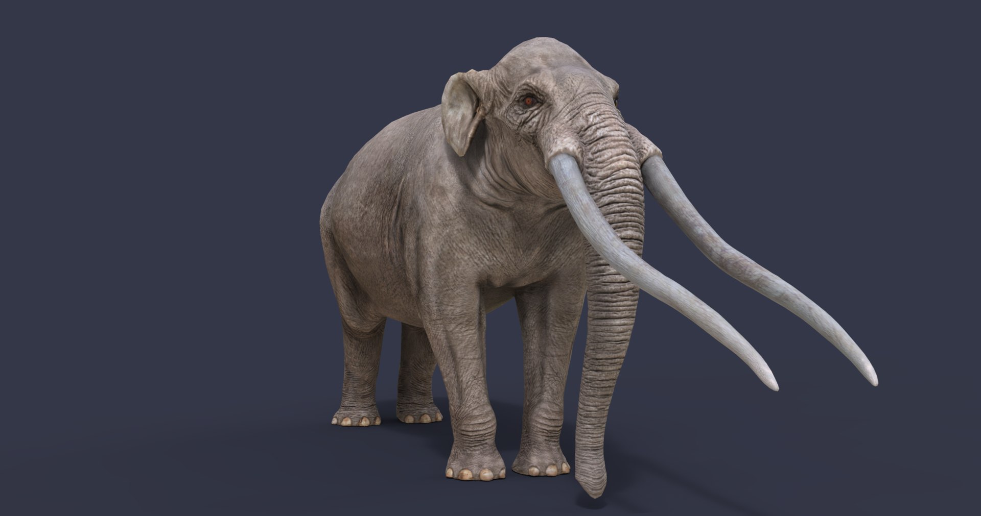 extinct animals version 8 3D https://p.turbosquid.com/ts-thumb/oA/UTm7l6/LfDLuJ2M/3/png/1585734604/1920x1080/fit_q87/66f7776bf866e2f3981200506b9c83986bf8ad1a/3.jpg