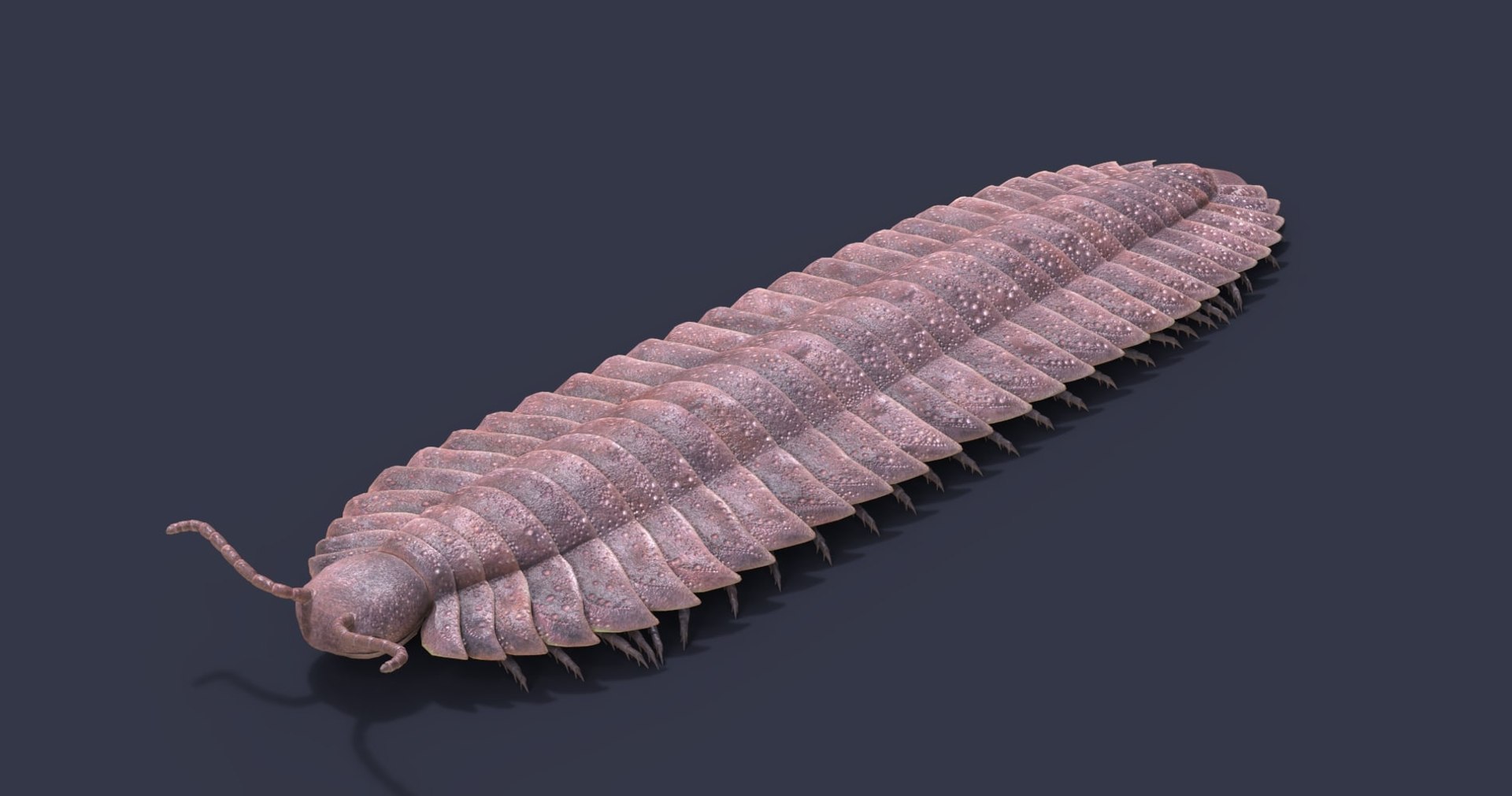 extinct animals version 8 3D https://p.turbosquid.com/ts-thumb/oA/UTm7l6/LvvqeIxr/82/jpg/1585736470/1920x1080/fit_q87/f3864910b263f910d7885c121a98c5af5ee0321e/82.jpg