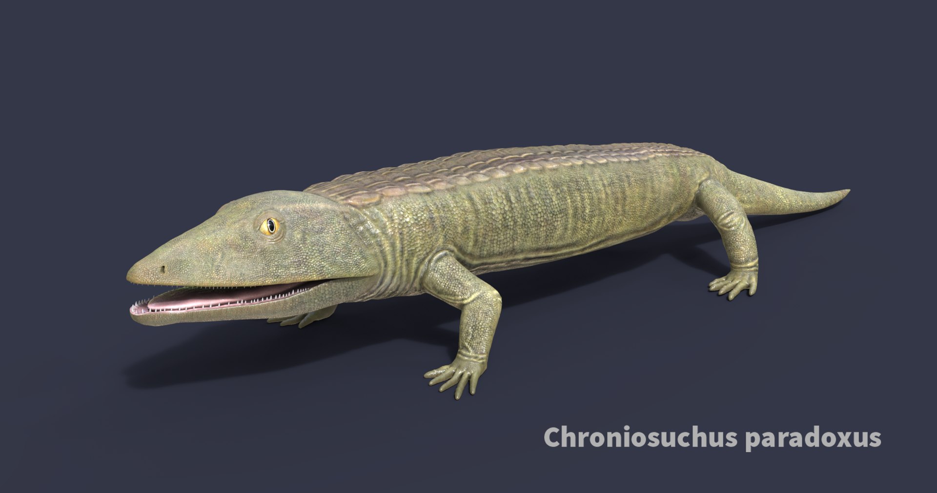 extinct animals version 8 3D https://p.turbosquid.com/ts-thumb/oA/UTm7l6/O899z3RN/114/png/1585737041/1920x1080/fit_q87/4a99ed84629521c10f9bbb9922ef9625db65e015/114.jpg