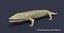 Extinct animals pack version 8