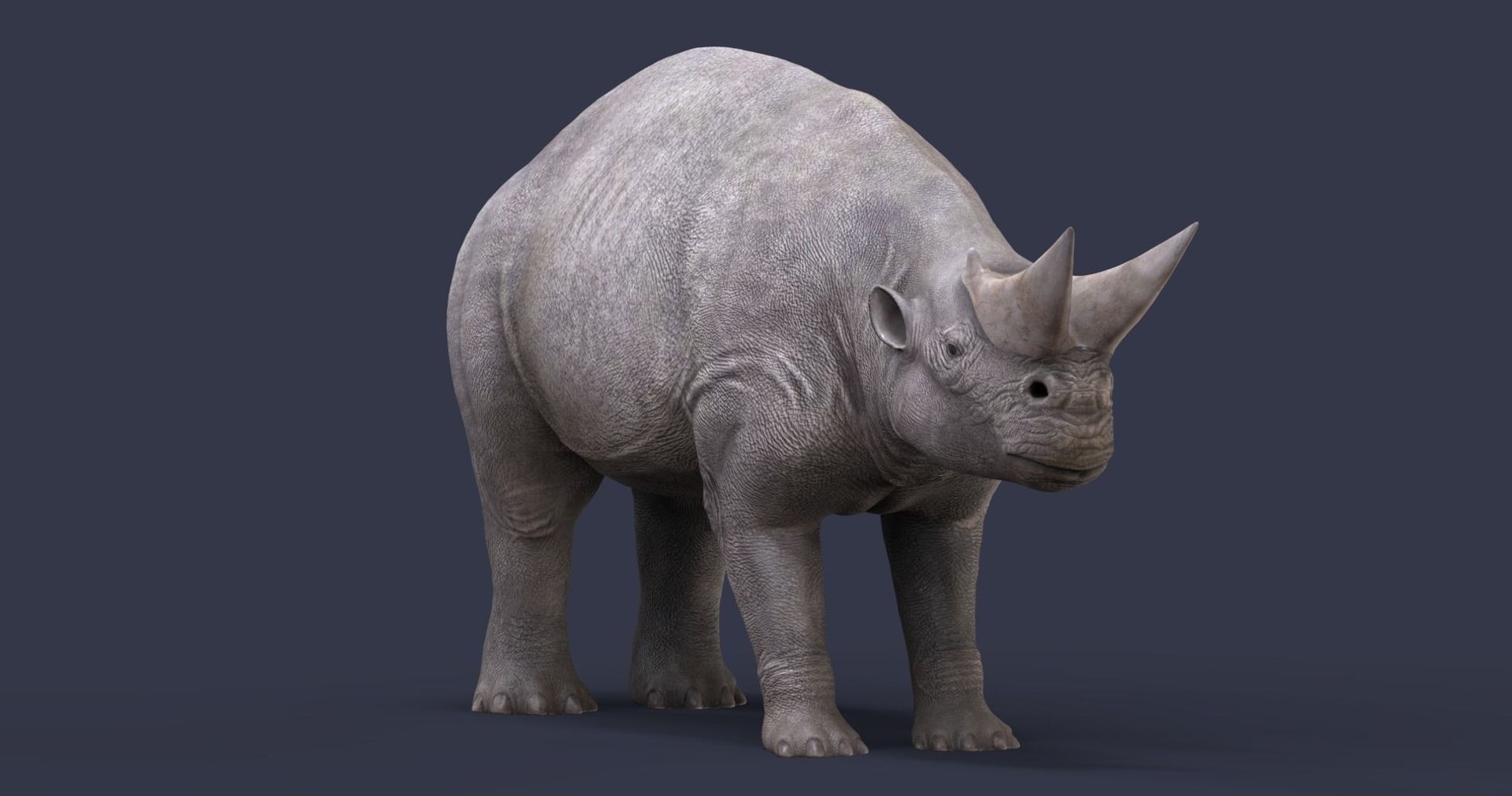 extinct animals version 8 3D https://p.turbosquid.com/ts-thumb/oA/UTm7l6/OQgFoJBh/67/jpg/1585736274/1920x1080/fit_q87/3399e9d21b474a5ed46971e35766d3764db61ce9/67.jpg