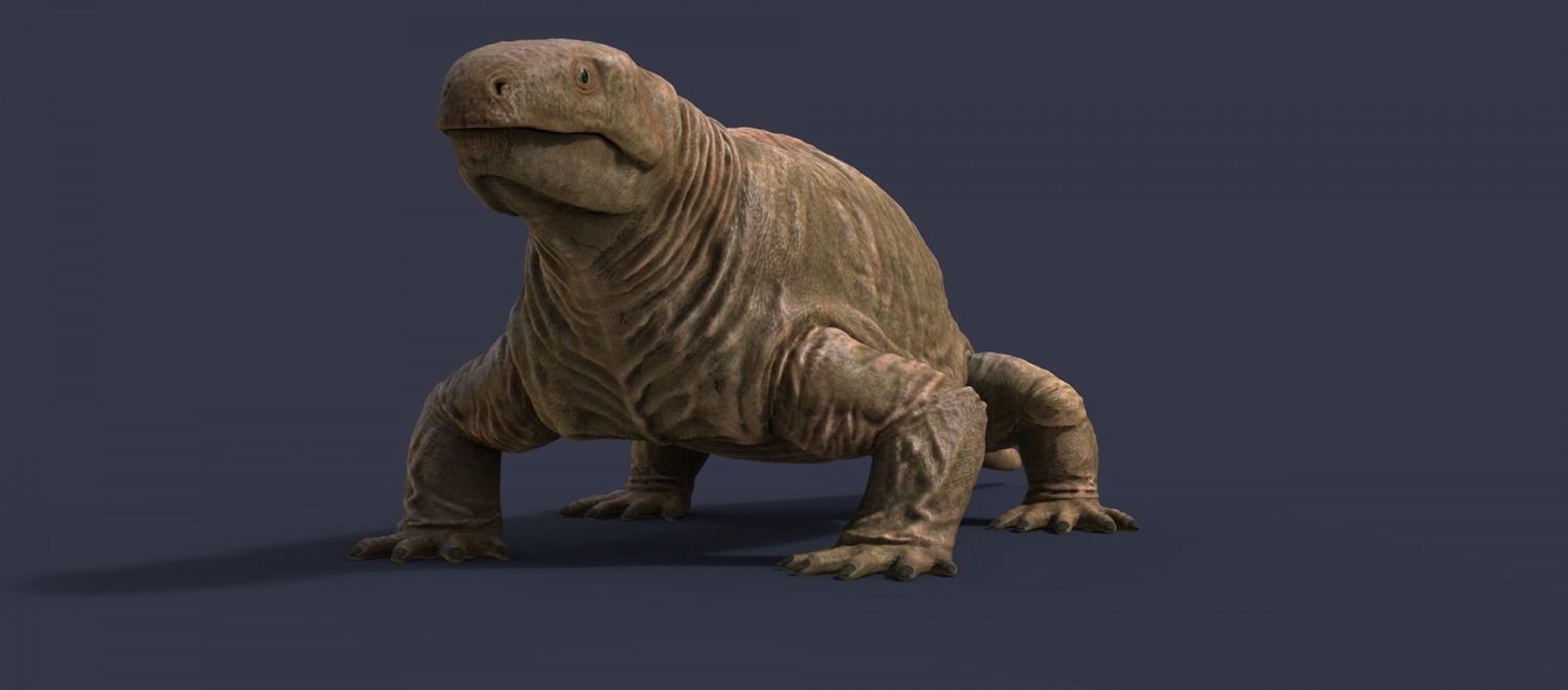 extinct animals version 8 3D https://p.turbosquid.com/ts-thumb/oA/UTm7l6/RR7Mmfh5/89/jpg/1585736545/1920x1080/fit_q87/c207cdb52b90a8320f9364cb9117a8943c4d8e30/89.jpg