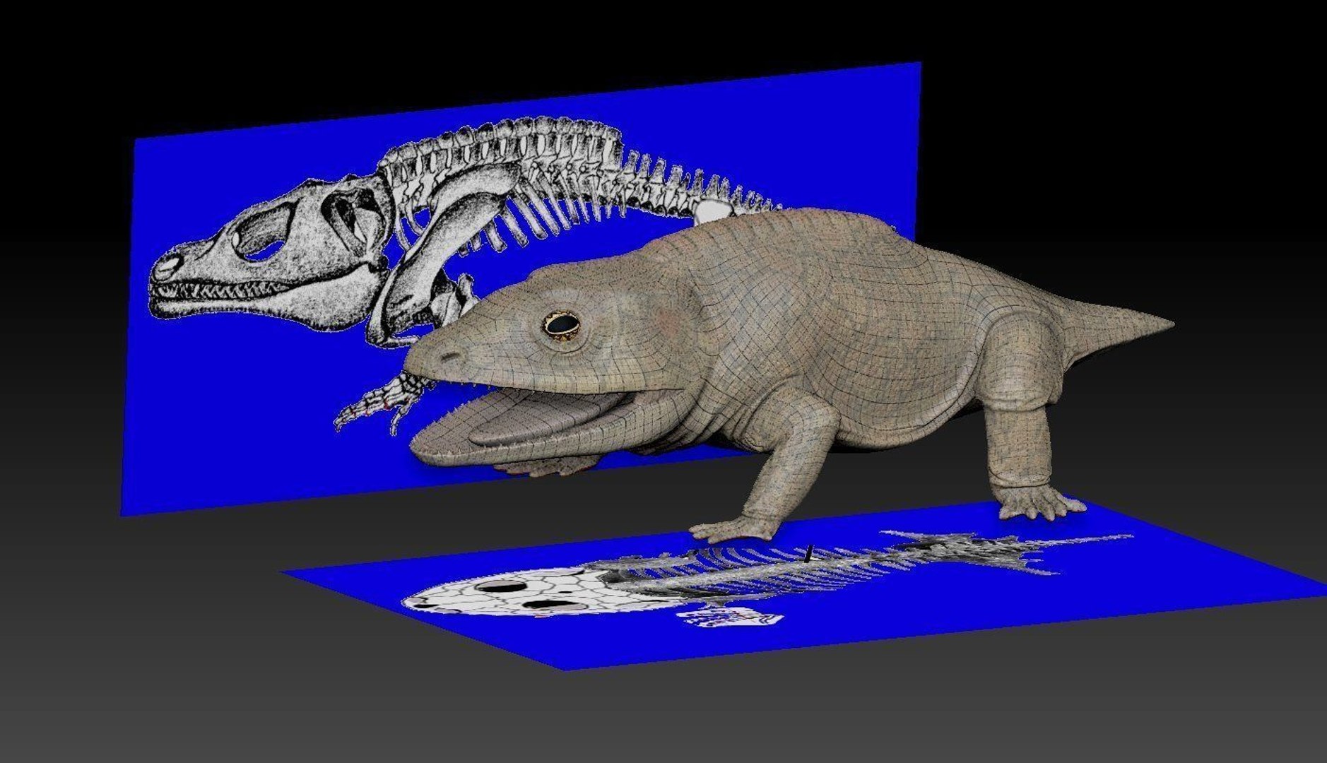 extinct animals version 8 3D https://p.turbosquid.com/ts-thumb/oA/UTm7l6/S8D4z4Vo/54/jpg/1585736128/1920x1080/fit_q87/a88c3ce520120150ded7b07c9c3485220d1e0782/54.jpg