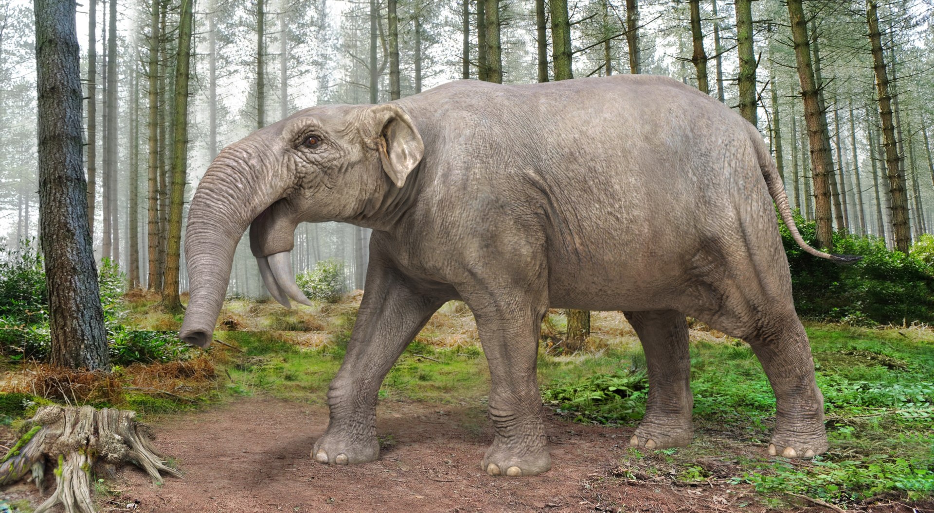 extinct animals version 8 3D https://p.turbosquid.com/ts-thumb/oA/UTm7l6/SIE77E8D/28/jpg/1585735814/1920x1080/fit_q87/3222d8aad0a1396ed8904bb5d76202abe11ceffe/28.jpg
