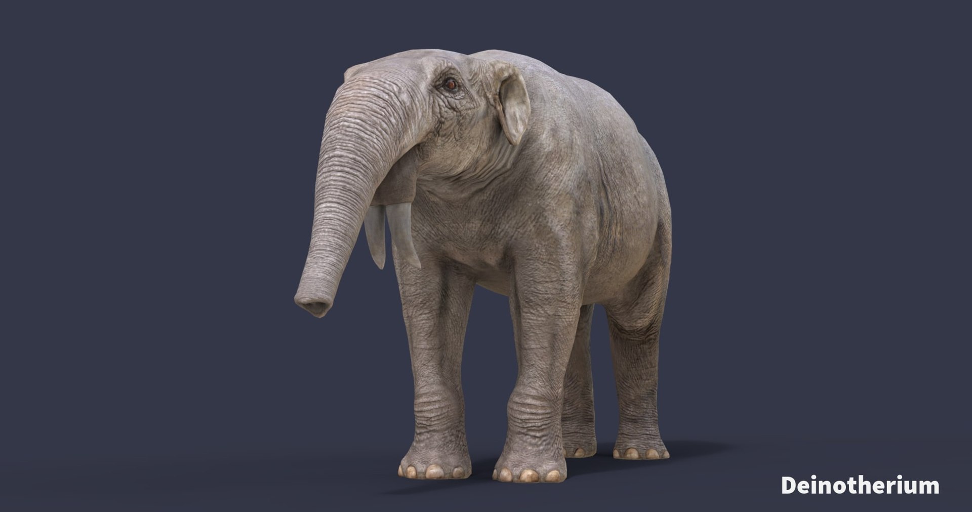 extinct animals version 8 3D https://p.turbosquid.com/ts-thumb/oA/UTm7l6/SmXK1Ns4/24/jpg/1585734950/1920x1080/fit_q87/84a7e3f023d23361f84a75ff2946042972b3f094/24.jpg