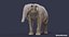 Extinct animals pack version 8